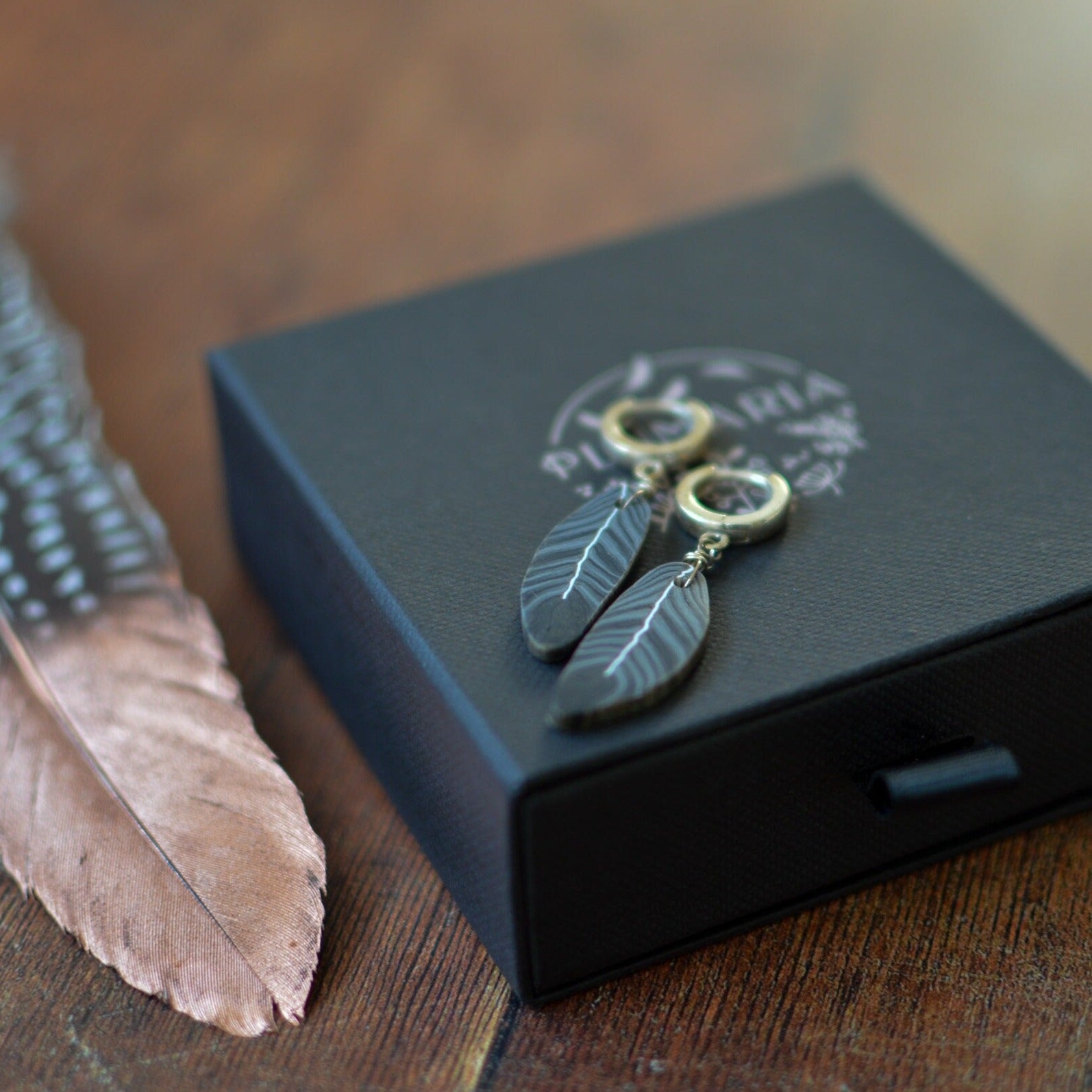Black Feather Earrings